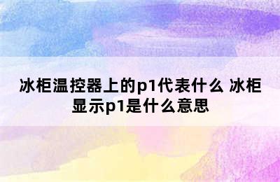 冰柜温控器上的p1代表什么 冰柜显示p1是什么意思